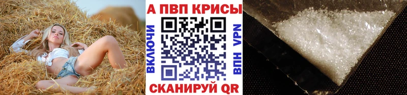 Alfa_PVP СК мориарти телеграм Злынка