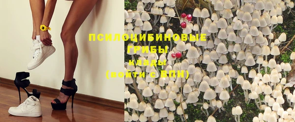 бутират Алексин