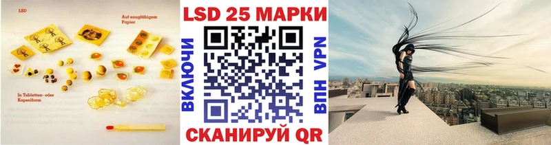 KRAKEN вход  сколько стоит  Злынка  ЛСД экстази кислота 