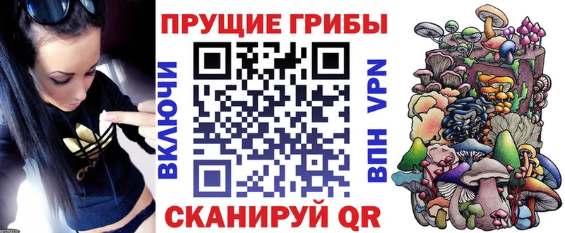 гидра ONION  Злынка  Галлюциногенные грибы ЛСД 